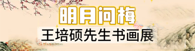 明月问梅—王培硕作品集